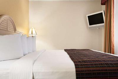 The Palms Inn & Suites