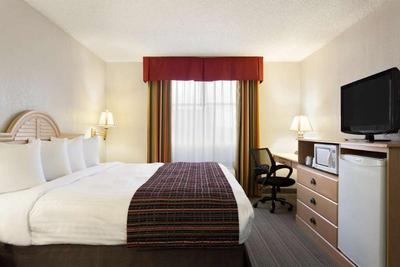 The Palms Inn & Suites