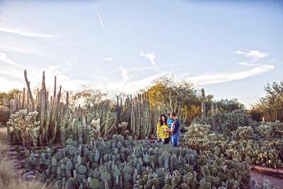 Holiday Inn Express & Suites Phoenix - Airport No