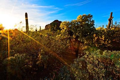 Holiday Inn Express & Suites Phoenix - Airport No