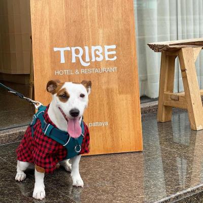 Tribe Hotel Pattaya