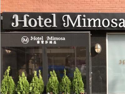 Hotel Mimosa