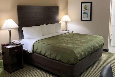 Quality Inn McDonough Atlanta South