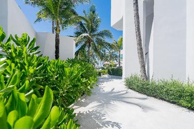 La Vida Samui