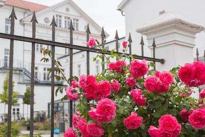 Parkhotel Putbus