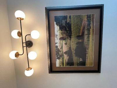 Americas Best Value Inn Suites Forest Grv Hillsbor