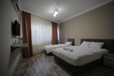 Puffin Suite