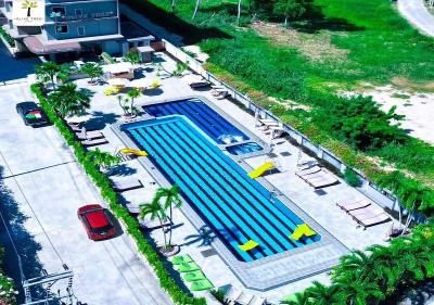 Olive Tree Hotel Pattaya
