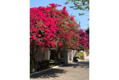 Delio Boutique Hotel