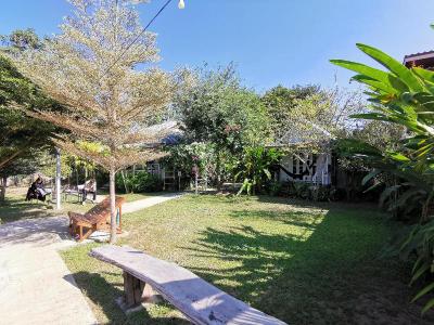 Canary Guesthouse