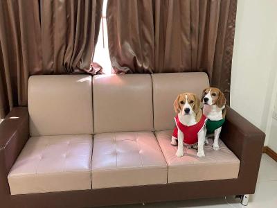 Family Resort Khao Yai