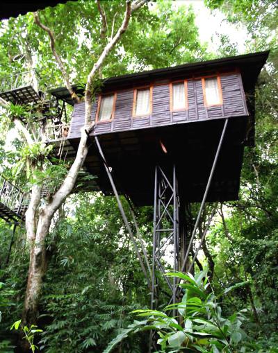 Khaosok Treehouse Resort