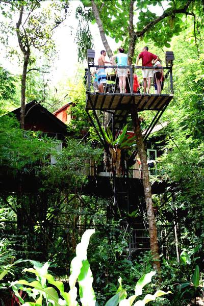 Khaosok Treehouse Resort