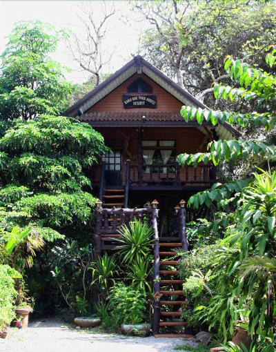 Khaosok Treehouse Resort