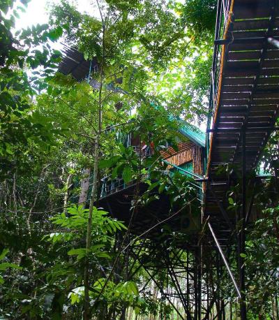 Khaosok Treehouse Resort