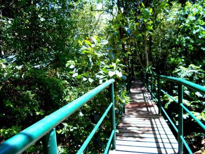 Khaosok Treehouse Resort