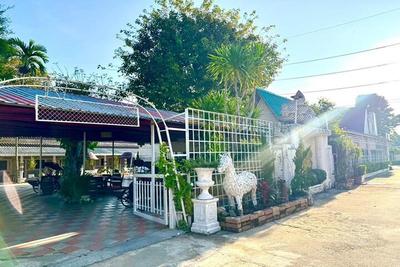 I Am Chiang Rai by ZUZU