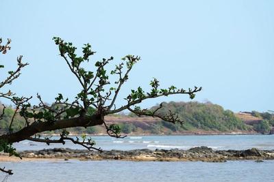 Plub Pla Koh Mak Retreat