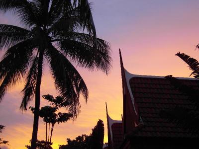 Palm Village