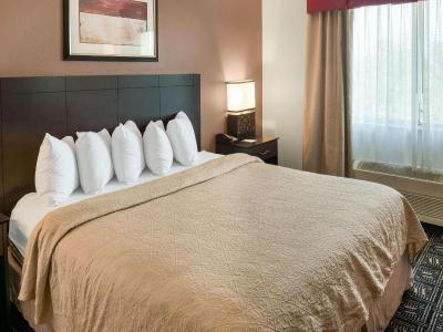 Quality Inn Suites