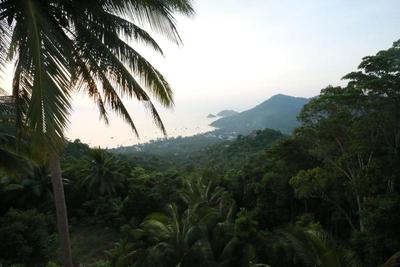 Greenery Resort