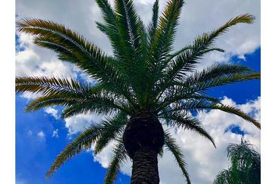 Hotel Bayonet Point - North Port Richey