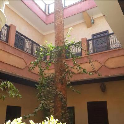 Djemaa El Fna Hotel Cecil