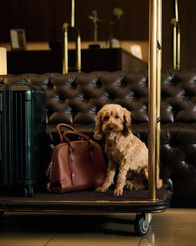Melter Hotel Apartments