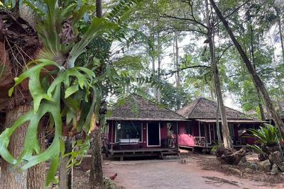 Pang Mai Resort