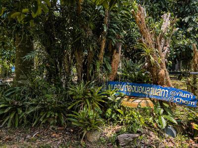 Kanta Hill Resort by ZUZU
