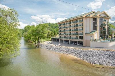 Pigeon River Inn