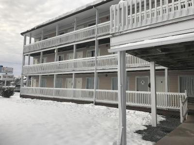 Chincoteague Inn