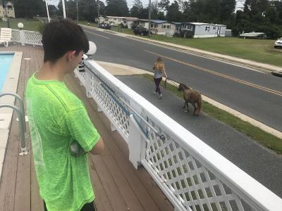 Chincoteague Inn