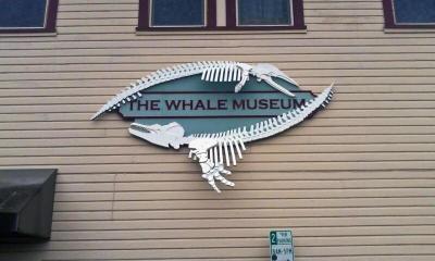 The Orca Inn
