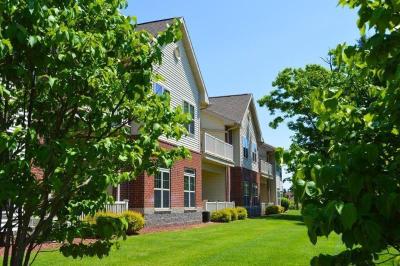Delton Grand Resort And Spa