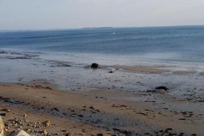 Pilgrim Sands On Long Beach
