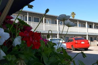 The Shores Inn