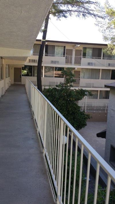 Mariposa Hotel