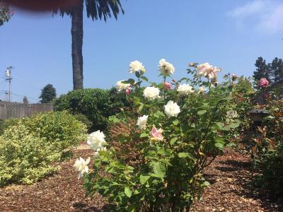 Hitching Post Studios Inn