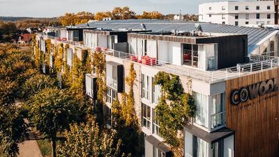 Cowool Cergy