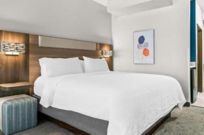 Holiday Inn Express & Suites Detroit North - Rosev