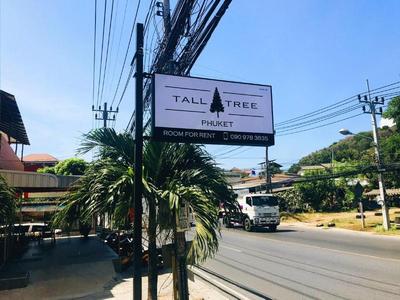 Tall Tree Kata Phuket