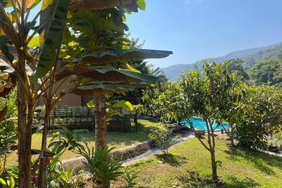 Tung Lakorn Farm by ZUZU