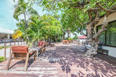 Suan Palm Garden View