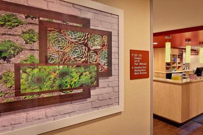 Towneplace Suites By Marriott Albany Downtown/Medi