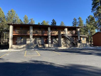 Motel In The Pines