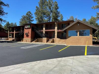 Motel In The Pines