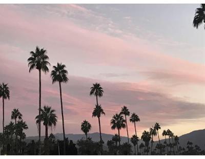 Delos Reyes Palm Springs