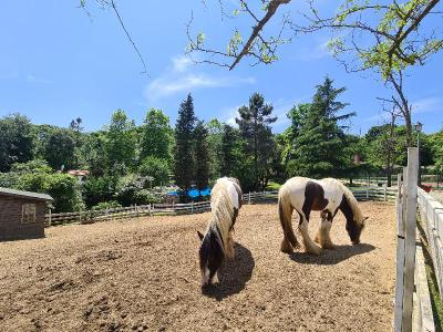 Polonezköy Country Club