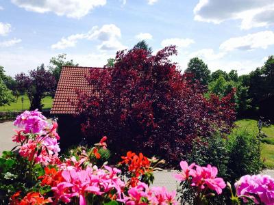 Hotel & Restaurant Zur Spreewälderin